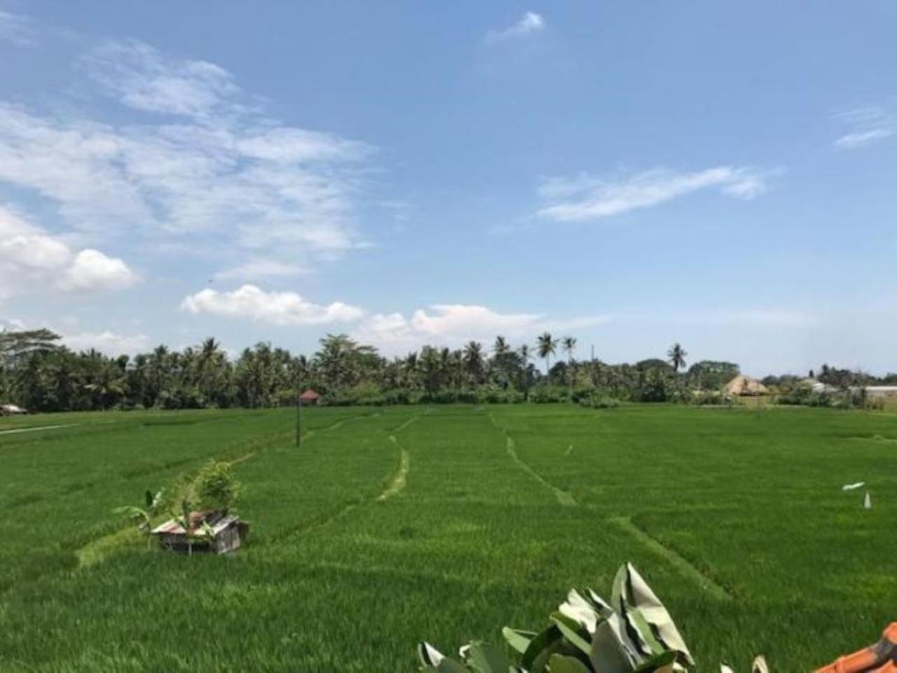 Heavenly View Villa Ubud (Bali)