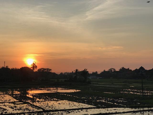 Pousada Heavenly View Ubud